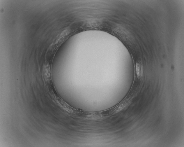 X0000080201107200612221358