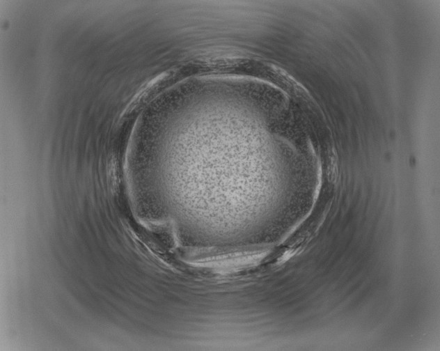 X0000080201108200612221358