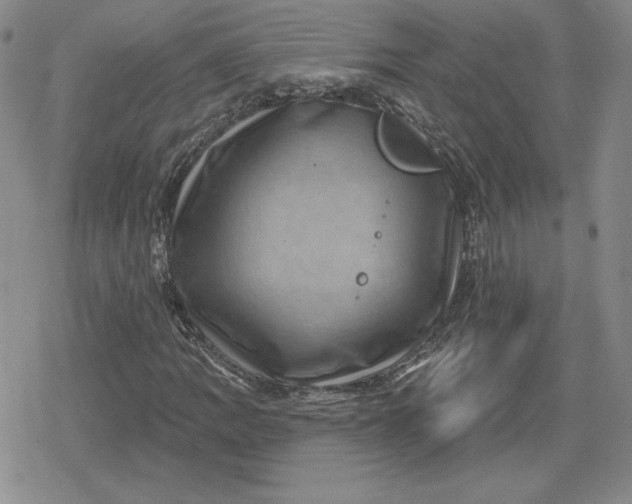 X0000080201109200612221358