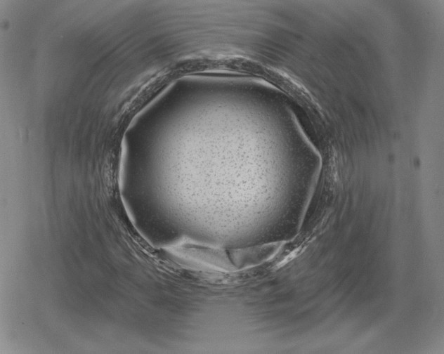 X0000080201110200612221358