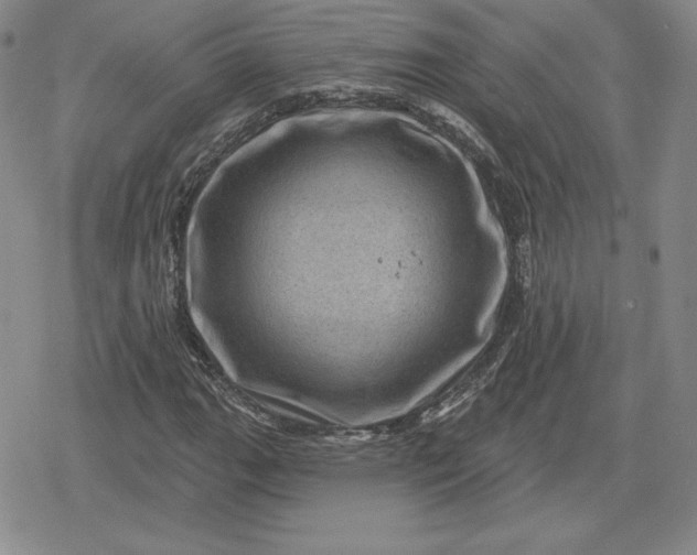 X0000080201111200612221358