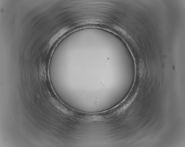 X0000080201113200612221358