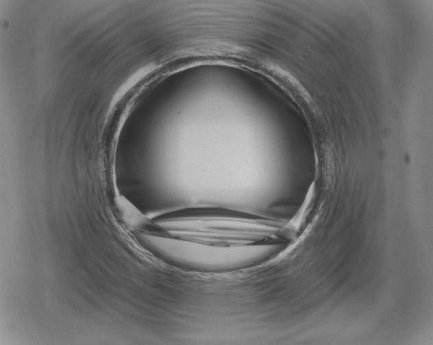 X0000080201114200612221358