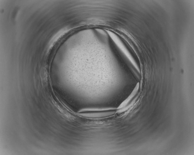 X0000080201115200612221358