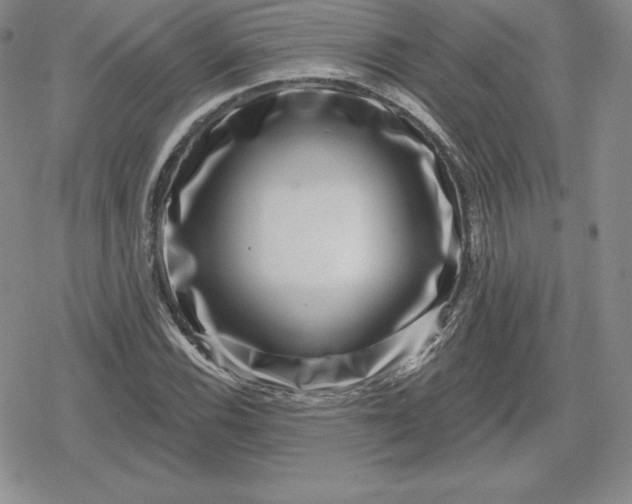 X0000080201116200612221358