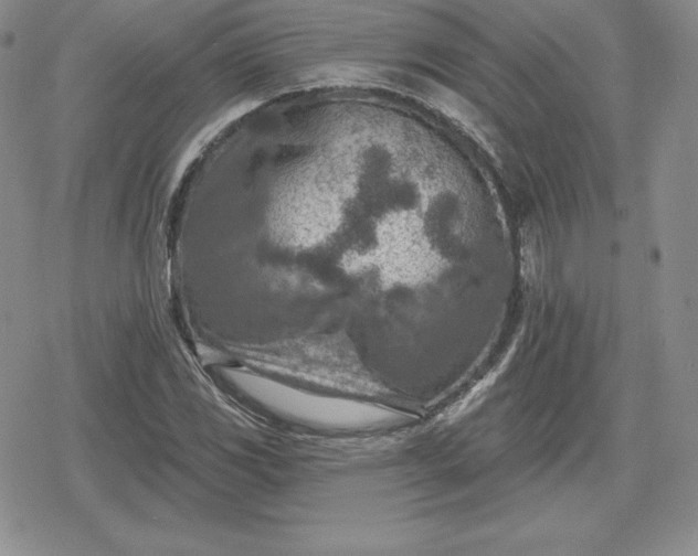 X0000080201117200612221359