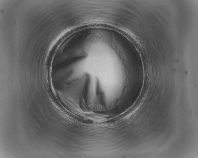 X0000080201118200612221359