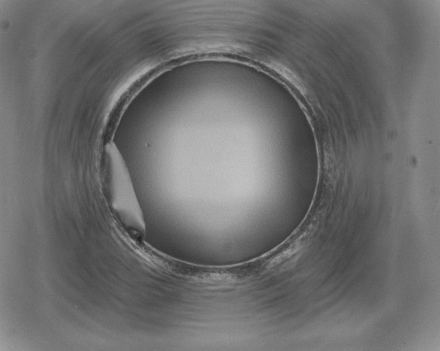 X0000080201119200612221359