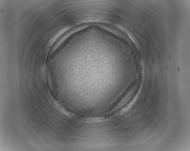 X0000080201121200612221359