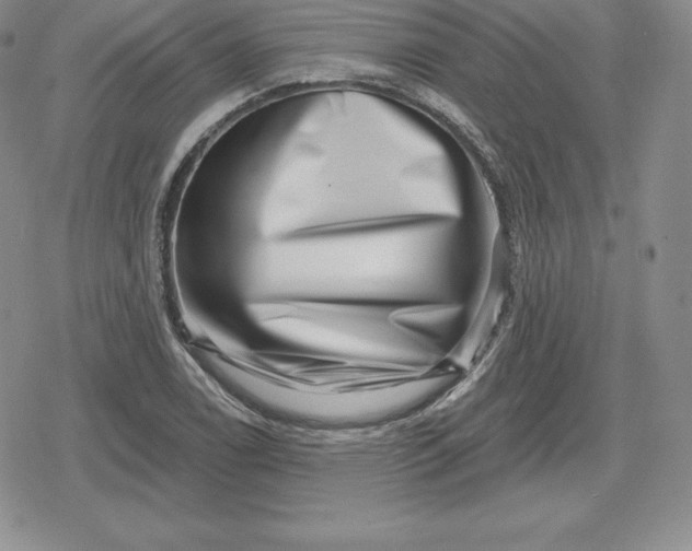 X0000080201122200612221359