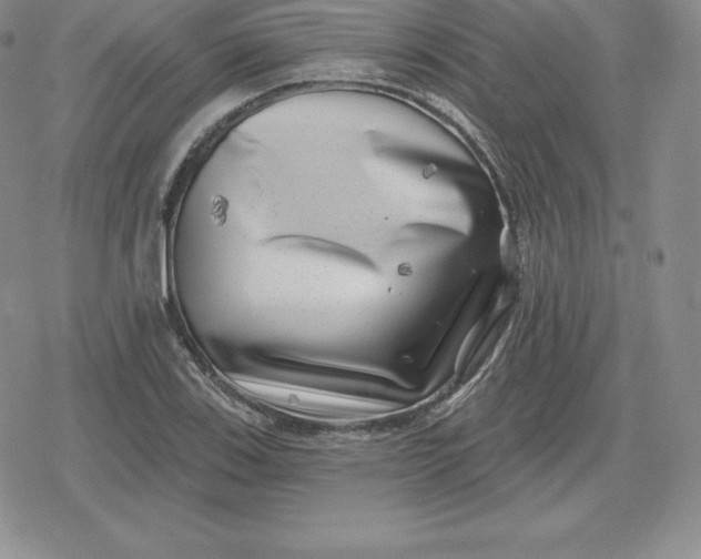 X0000080201123200612221359