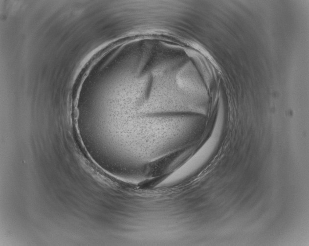 X0000080201124200612221359