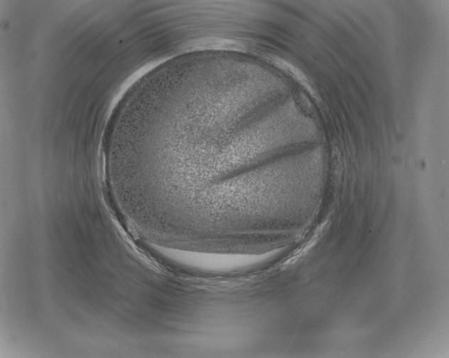 X0000080201125200612221359