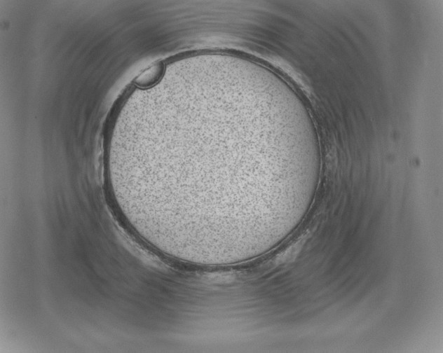 X0000080201126200612221359