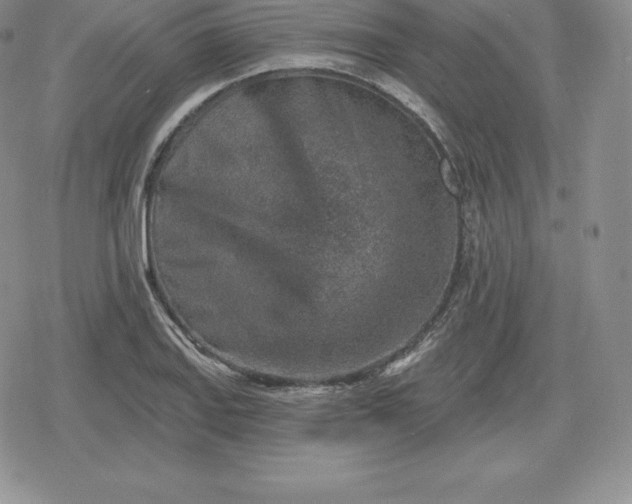 X0000080201127200612221359