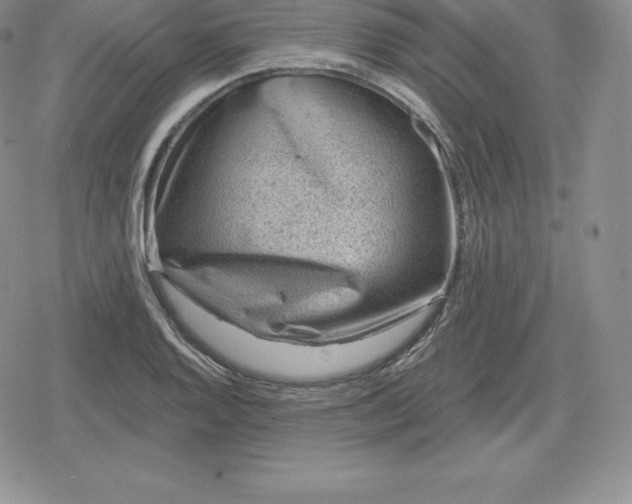 X0000080201128200612221359