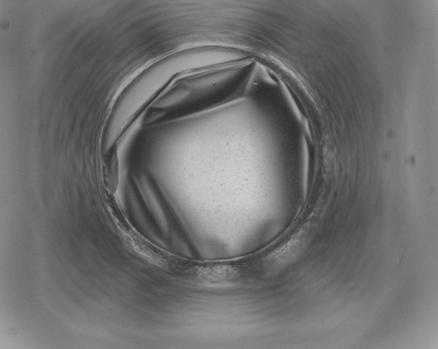 X0000080201129200612221359