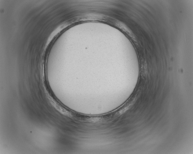 X0000080201130200612221359