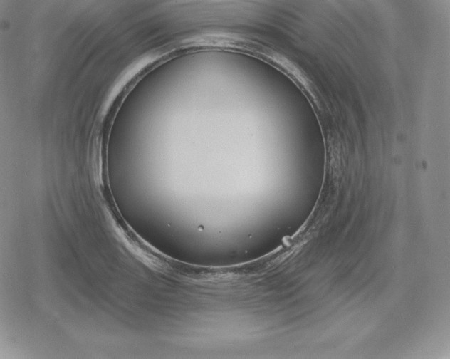 X0000080201131200612221359