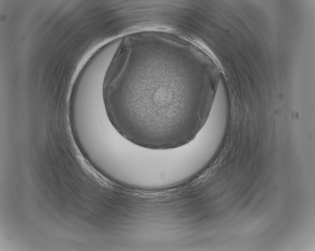 X0000080201132200612221359