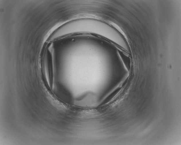 X0000080201133200612221359