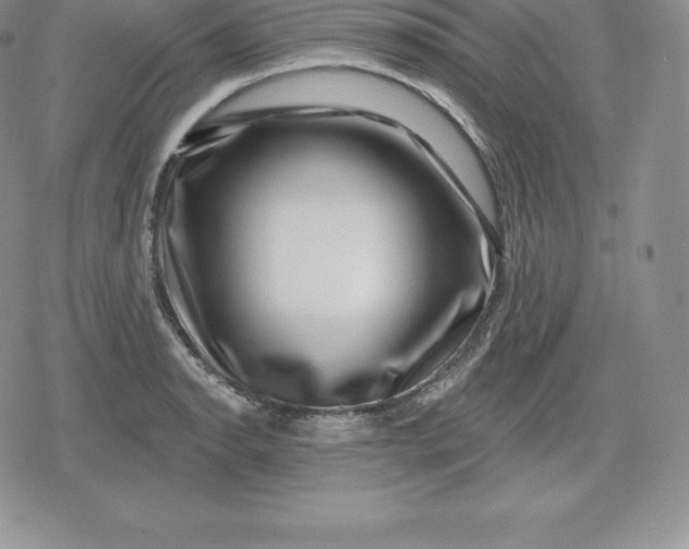 X0000080201134200612221359