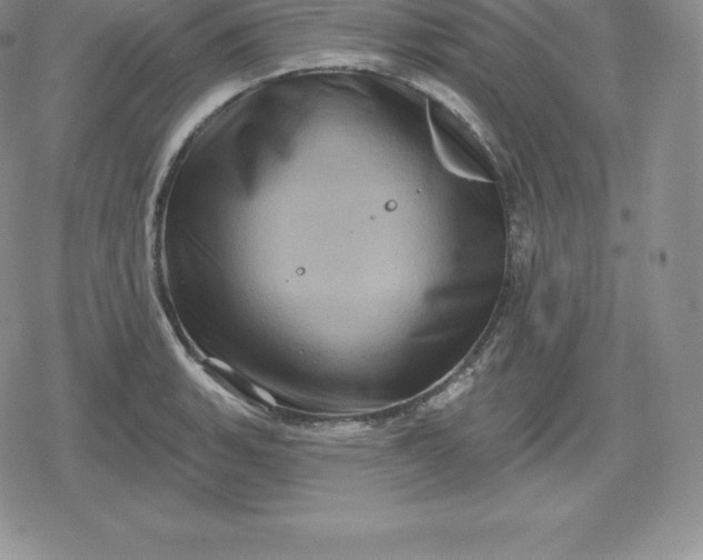 X0000080201135200612221359