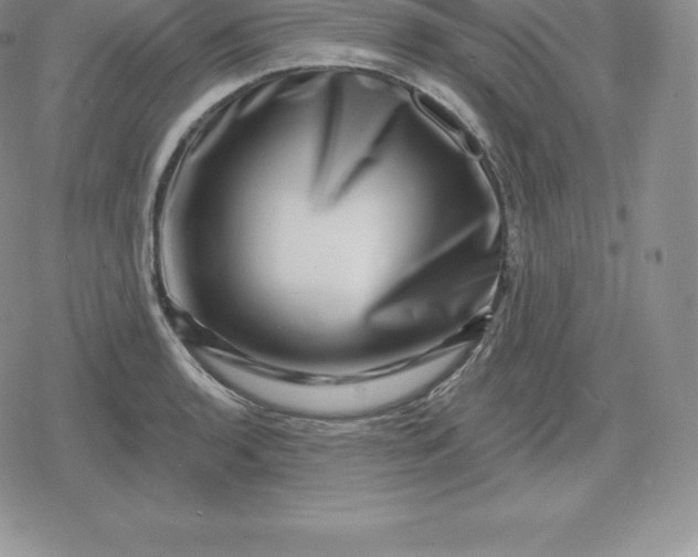 X0000080201136200612221359