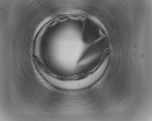 X0000080201138200612221359