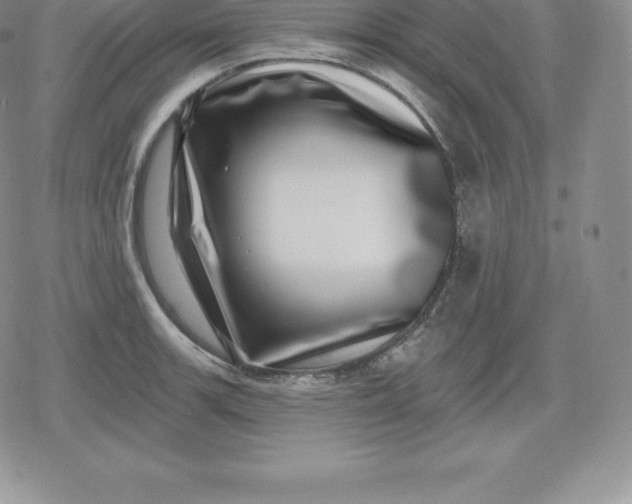 X0000080201139200612221359