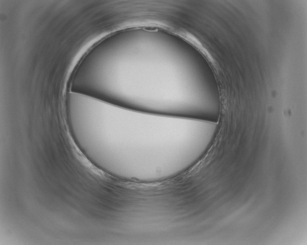 X0000080201140200612221359