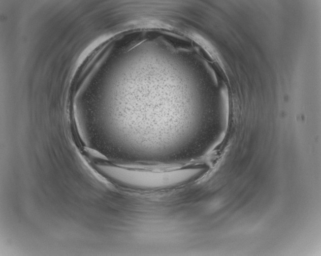 X0000080201141200612221359