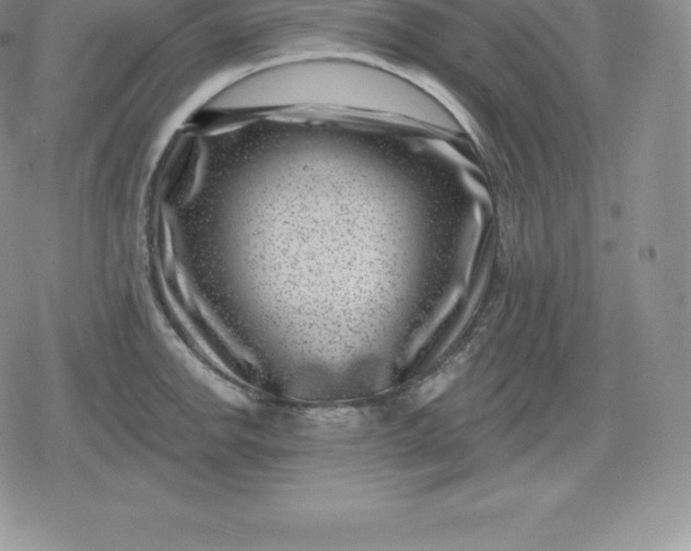 X0000080201142200612221359