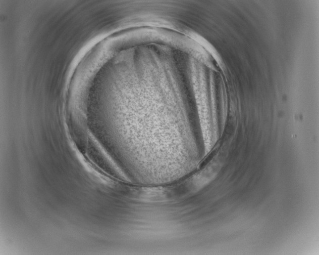 X0000080201144200612221359