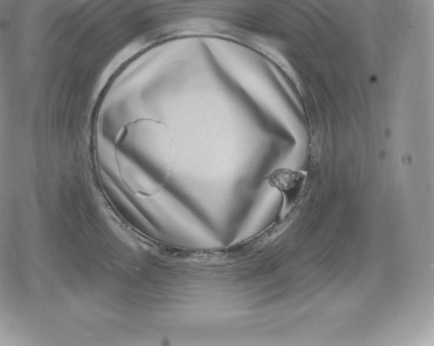 X0000080201146200612221359