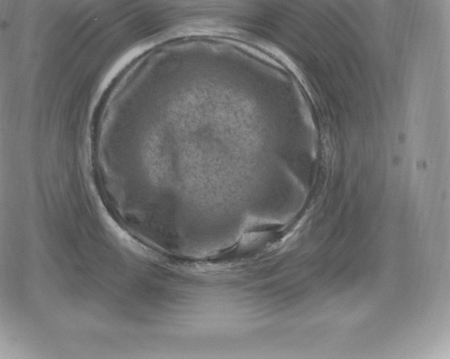 X0000080201147200612221359