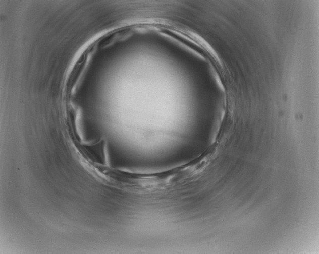 X0000080201148200612221359