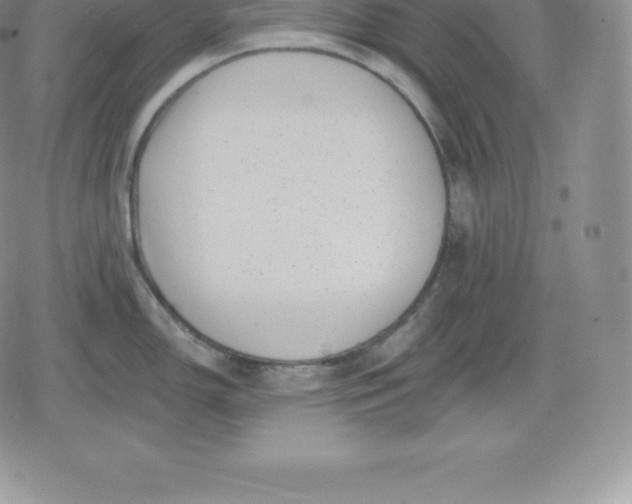 X0000080201150200612221359