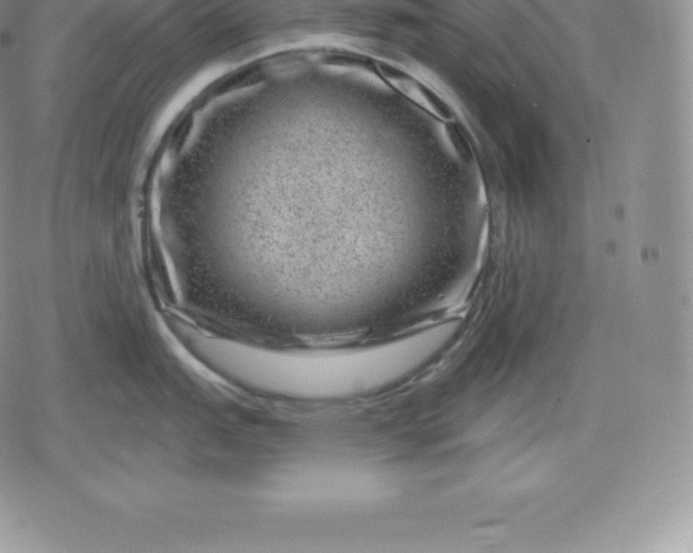 X0000080201151200612221359