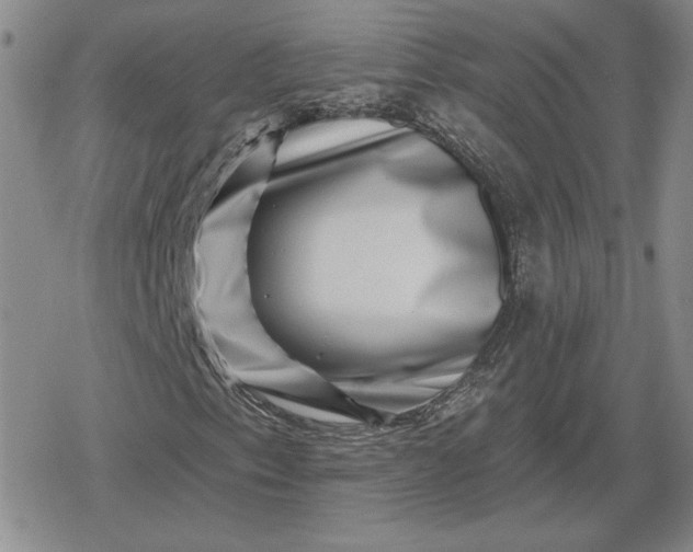 X0000080201153200612221358