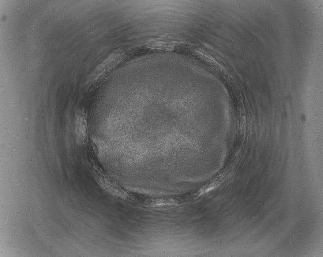 X0000080201154200612221358