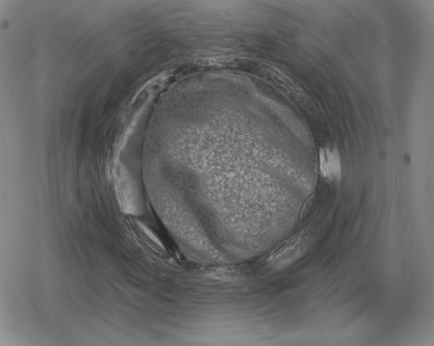 X0000080201155200612221358