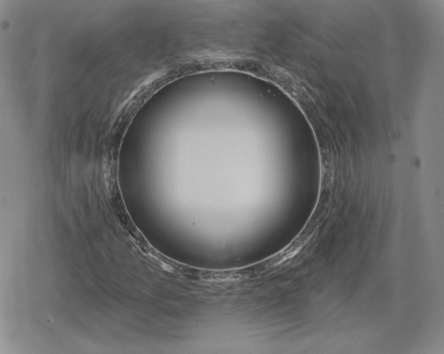 X0000080201157200612221358