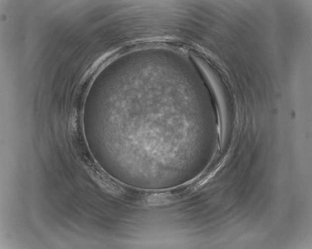 X0000080201161200612221358