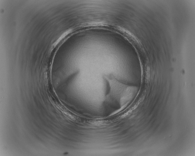 X0000080201162200612221358