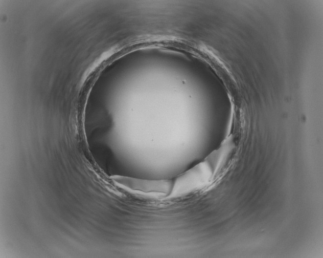 X0000080201165200612221358