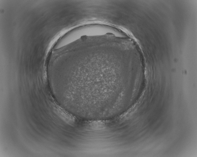 X0000080201167200612221358