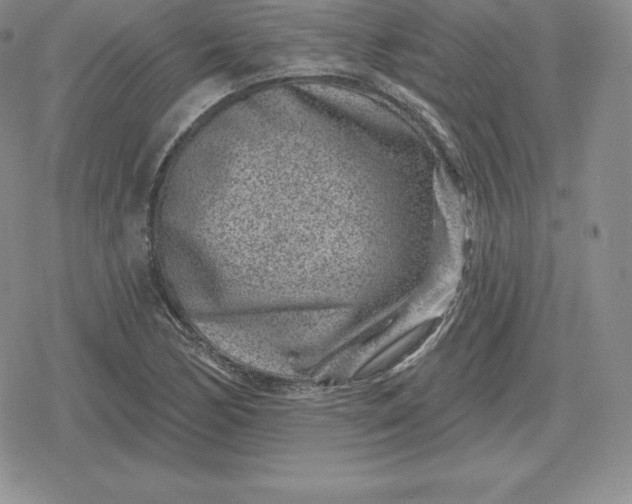 X0000080201170200612221358