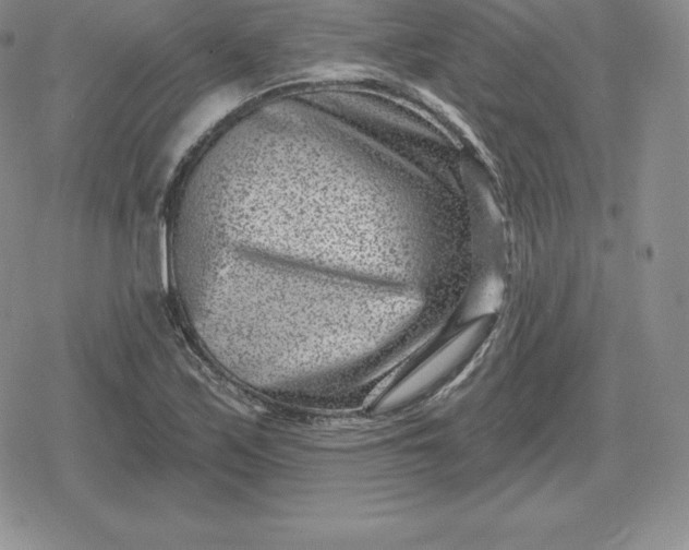 X0000080201171200612221358