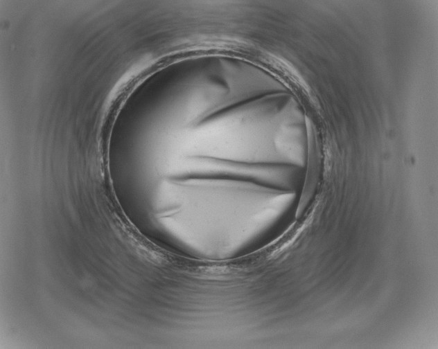 X0000080201172200612221358